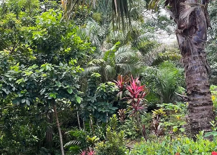 Villa Abundance-the Station Seychelles-sans Souci